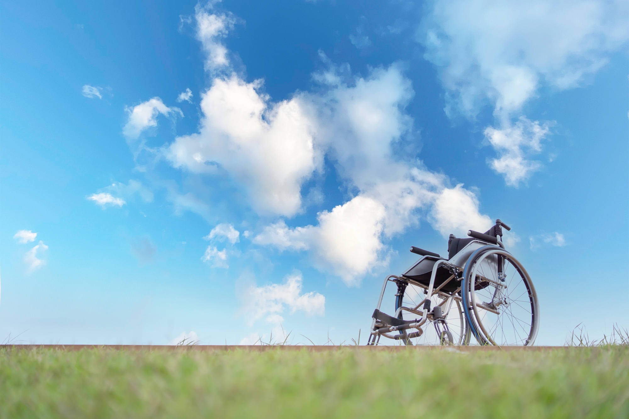 フレッシュな力が皆様をサポート！の写真