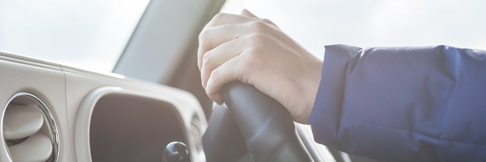 孫の手も借りたいの画像