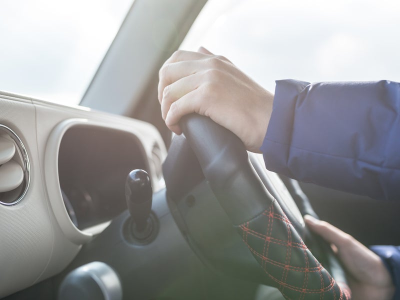 孫の手も借りたいの画像